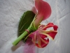 corsage_11