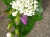 corsage_22