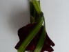 corsage_27