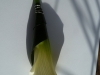 corsage_29