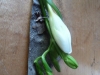 corsage_30