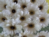 corsage_32