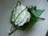 corsage_35