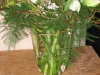 kopie-van-img_0344